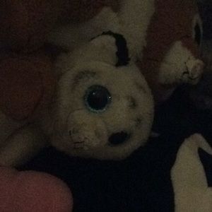 Meet your Posher, Sophie